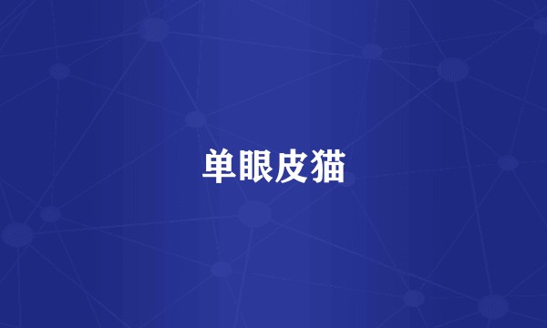 单眼皮猫