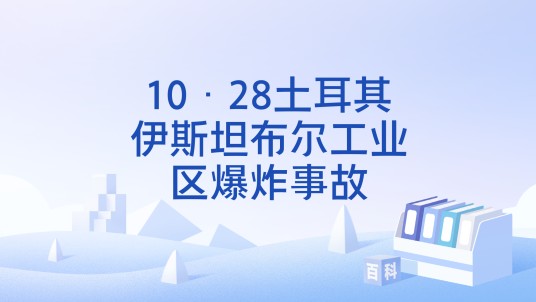 10·28土耳其伊斯坦布尔工业区爆炸事故
