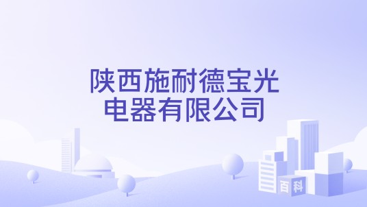 陕西施耐德宝光电器有限公司