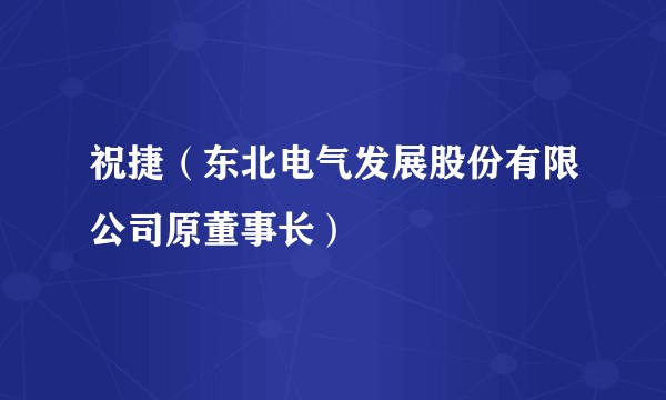 祝捷(东北电气发展股份有限公司原董事长)