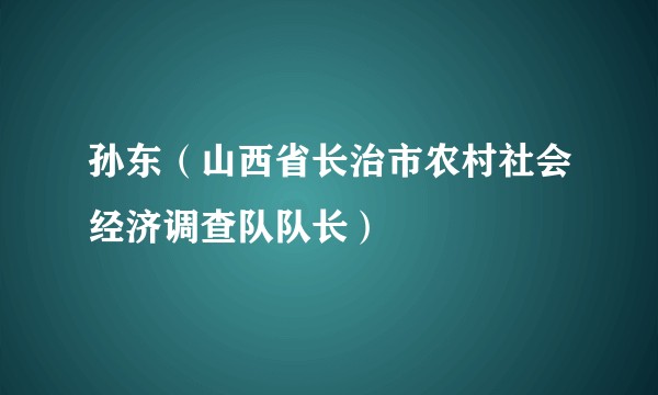 孙东（山西省长治市农村社会经济调查队队长）