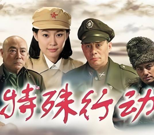 特殊行动(2015年尹哲执导的谍战剧)