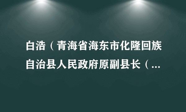 白浩（青海省海东市化隆回族自治县人民政府原副县长（挂职））