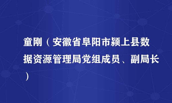 童刚（安徽省阜阳市颍上县数据资源管理局党组成员、副局长）