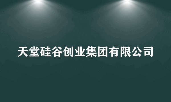 天堂硅谷创业集团有限公司