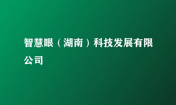智慧眼（湖南）科技发展有限公司