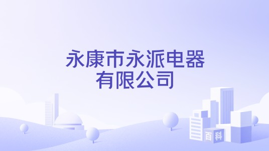 永康市永派电器有限公司