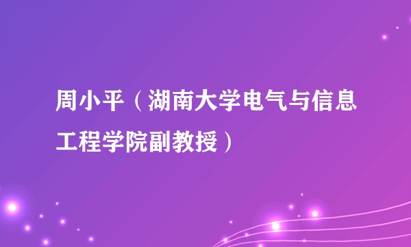 周小平（湖南大学电气与信息工程学院副教授）