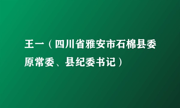 王一（四川省雅安市石棉县委原常委、县纪委书记）