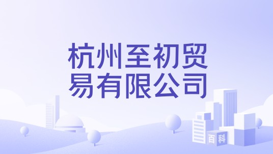 杭州至初贸易有限公司