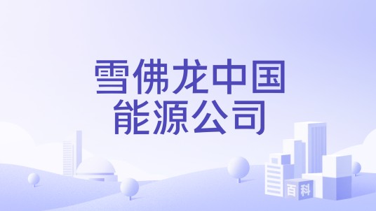 雪佛龙中国能源公司