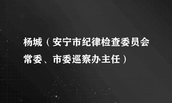 杨城（安宁市纪律检查委员会常委、市委巡察办主任）