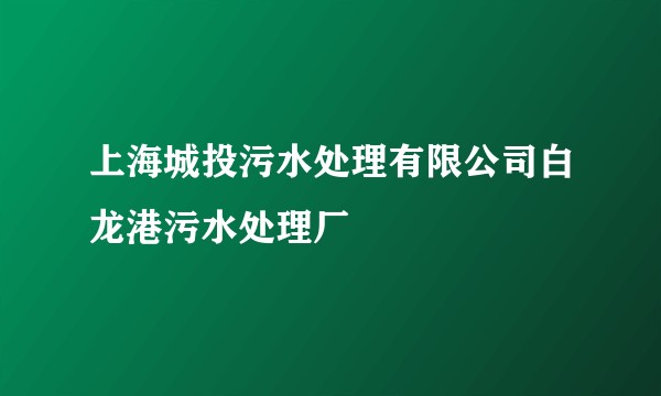 上海城投污水处理有限公司白龙港污水处理厂