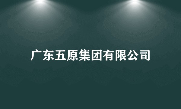 广东五原集团有限公司