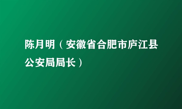 陈月明（安徽省合肥市庐江县公安局局长）