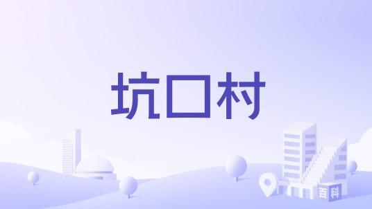 坑口村（广东省汕尾市海丰县平东镇下辖村）