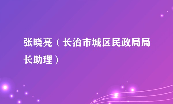 张晓亮（长治市城区民政局局长助理）