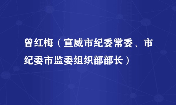 曾红梅（宣威市纪委常委、市纪委市监委组织部部长）