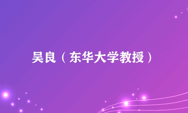 吴良（东华大学教授）