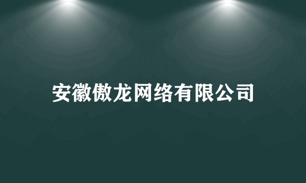 安徽傲龙网络有限公司