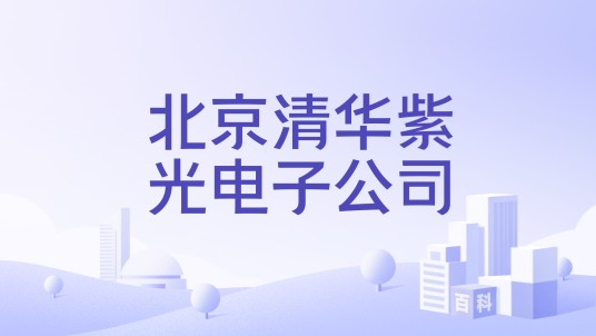 北京清华紫光电子公司