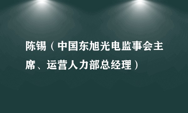 陈锡（中国东旭光电监事会主席、运营人力部总经理）