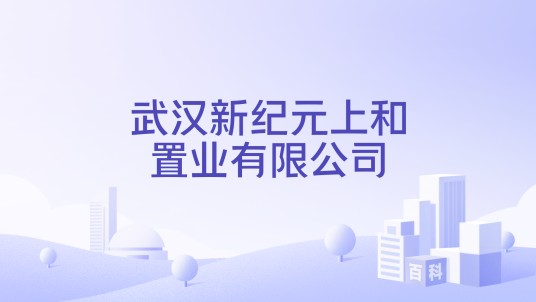 武汉新纪元上和置业有限公司