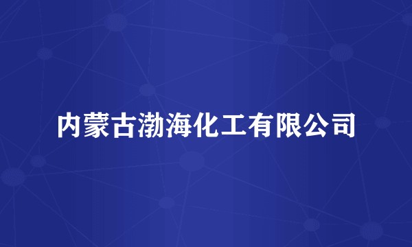 内蒙古渤海化工有限公司