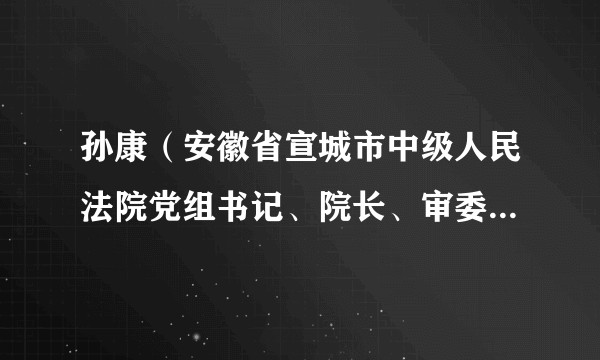 孙康（安徽省宣城市中级人民法院党组书记、院长、审委会委员、一级高级法官）