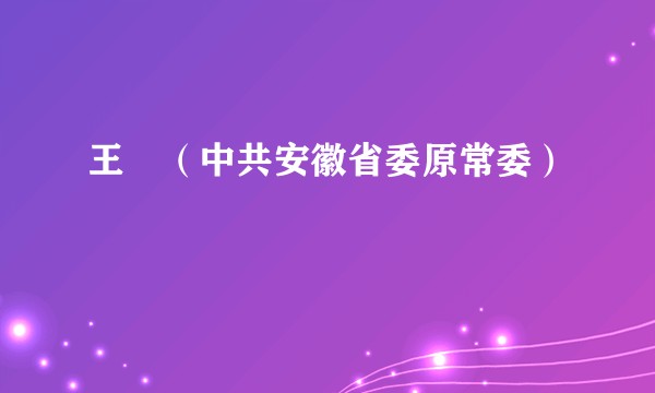 王翀（中共安徽省委原常委）