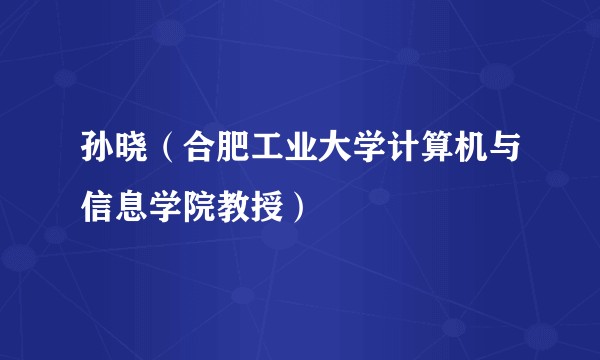 孙晓（合肥工业大学计算机与信息学院教授）