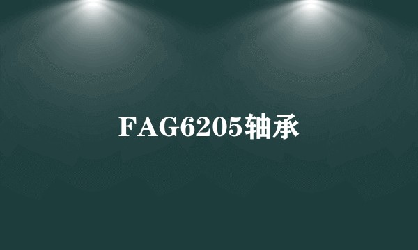 FAG6205轴承