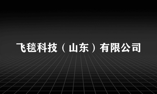飞毯科技(山东)有限公司