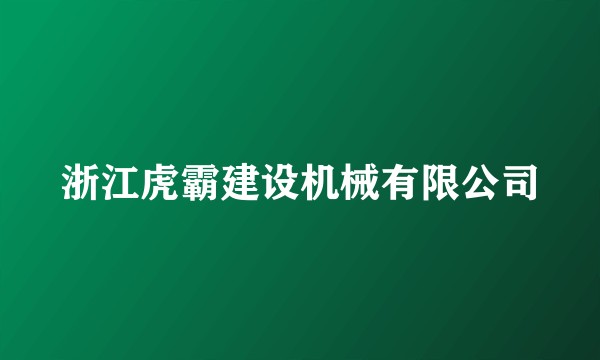 浙江虎霸建设机械有限公司