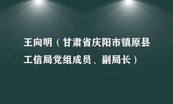 王向明（甘肃省庆阳市镇原县工信局党组成员、副局长）