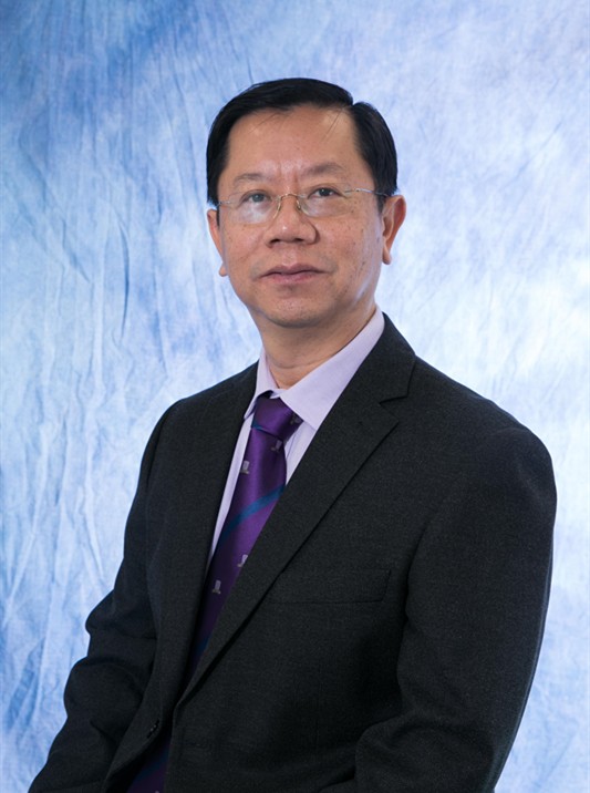 王平安（香港中文大学卓敏计算机科学与工程学教授）