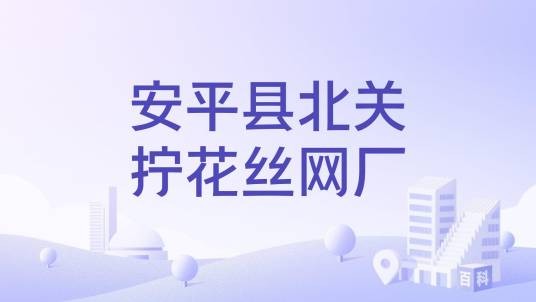 安平县北关拧花丝网厂