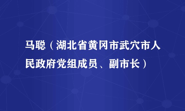 马聪（湖北省黄冈市武穴市人民政府党组成员、副市长）