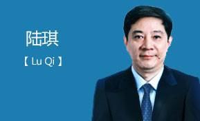 陆琪（上海市经济和信息化工作委员会副巡视员）