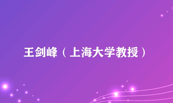 王剑峰（上海大学教授）