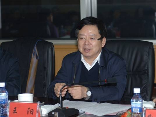 王阳(辽宁省人大常委会原副主任)