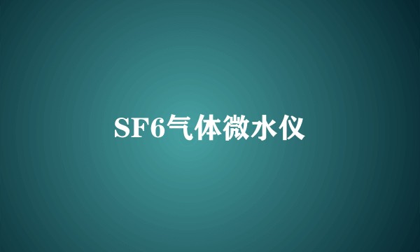 SF6气体微水仪