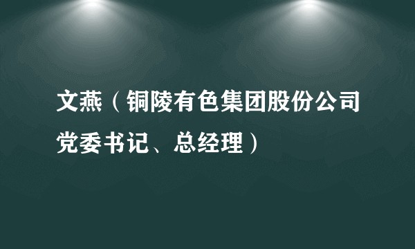 文燕（铜陵有色集团股份公司党委书记、总经理）