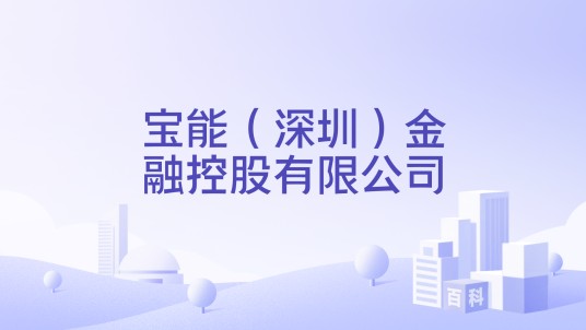 宝能(深圳)金融控股有限公司