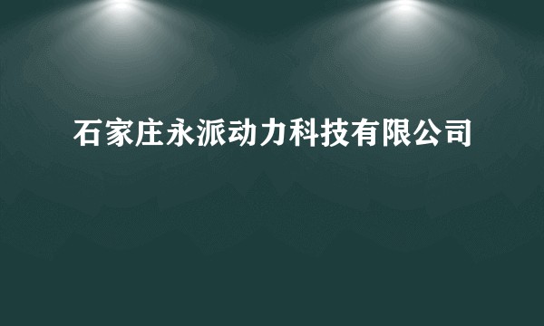 石家庄永派动力科技有限公司