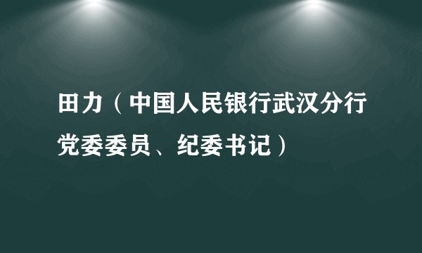 田力（中国人民银行武汉分行党委委员、纪委书记）