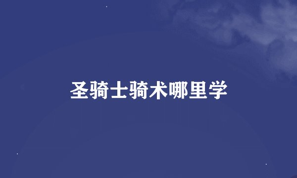 圣骑士骑术哪里学