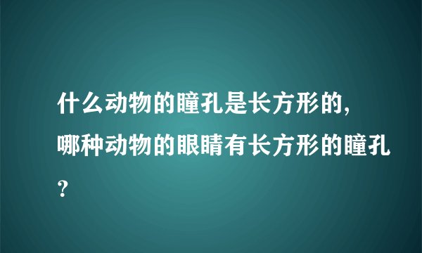 什么动物的瞳孔是长方形的,哪种动物的眼睛有长方形的瞳孔？