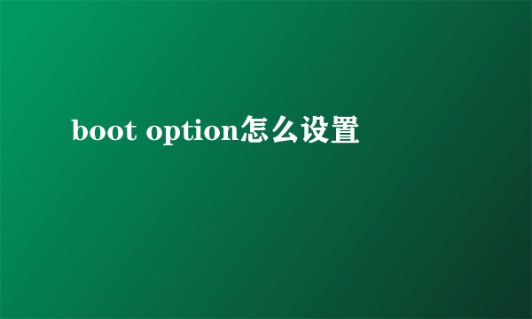 boot option怎么设置