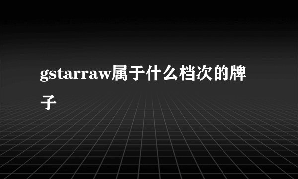 gstarraw属于什么档次的牌子